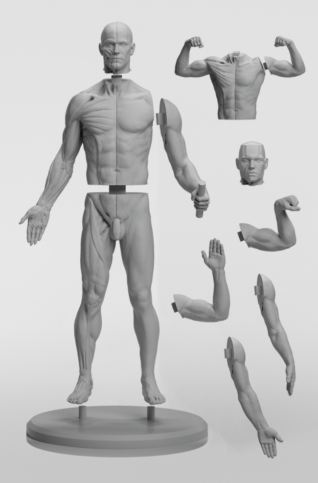 zbrush character sculpting volume 1 free download